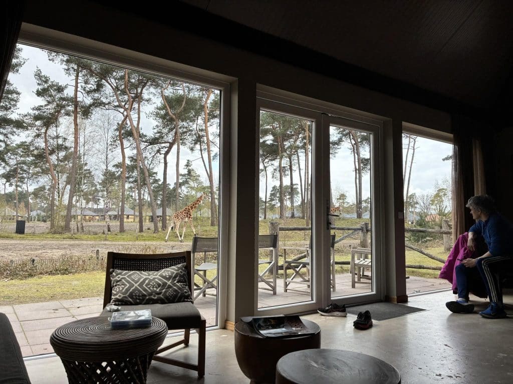 Savannah Lodge Beekse Bergen