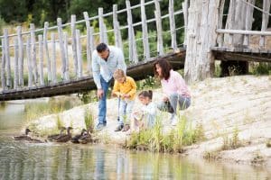 Children and ducks