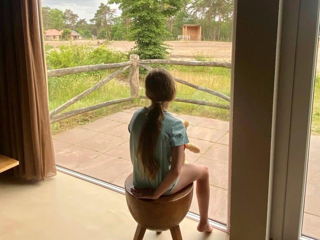 Beekse Bergen Savannah Lodge view
