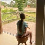 Beekse Bergen Savannah Lodge view