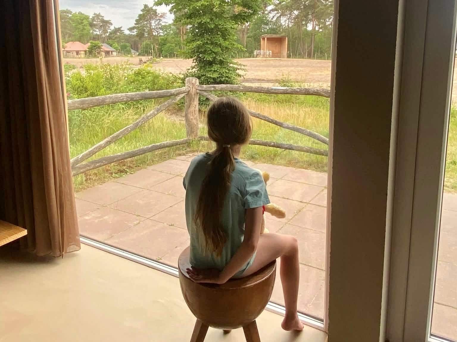 Beekse Bergen Savannah Lodge view
