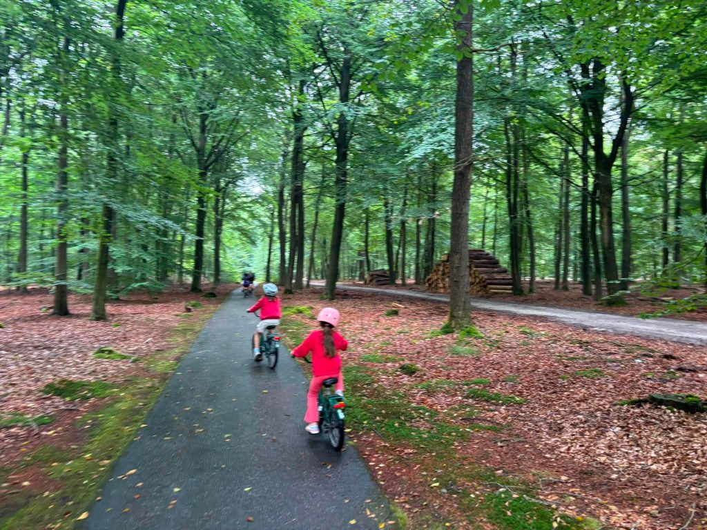 Cycling Hof van Saksen