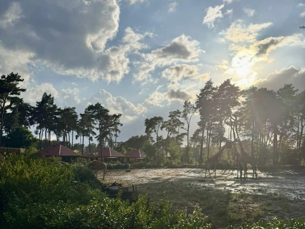 Safari Resort Beekse Bergen